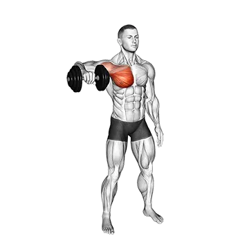 Dumbbell Shoulder Internal Rotation at 90 Abduction