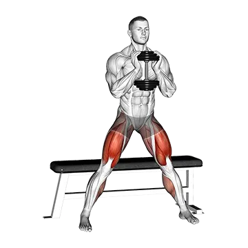 Dumbbell Side Bench Squat