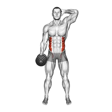 Best 20 Minute Ab Workouts Dumbbell Side Bend