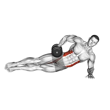 Best Dumbbell Core Workouts Dumbbell Side Bridge