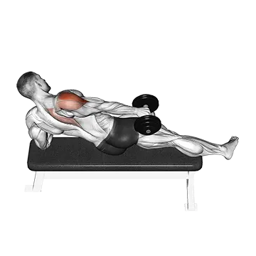Dumbbell Side Lying One Hand Raise
