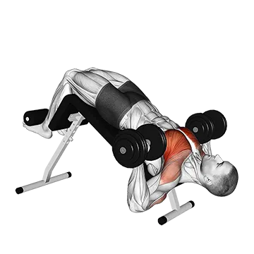 Dumbbell Single Arm Alternate Decline Bench Press