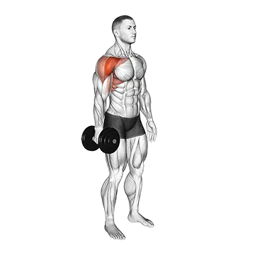 Dumbbell Single Arm Neutral Grip Front Raise