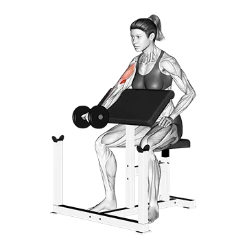 Dumbbell Single Arm Preacher Curl