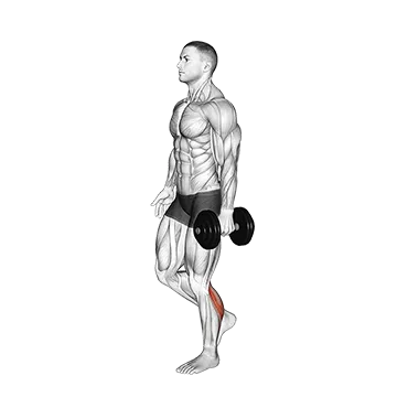 Best Dumbbell Leg Workouts Dumbbell Single Leg Calf Raise