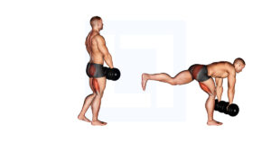 Dumbbell Single Leg Deadlift - Guide, Benefits, and Form