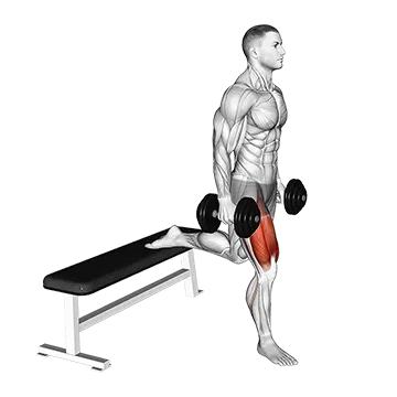 Best Dumbbell Leg Workouts Dumbbell Single Leg Split Squat