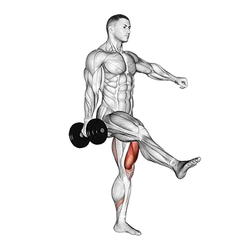 Best Dumbbell Leg Workouts Dumbbell Single Leg Squat