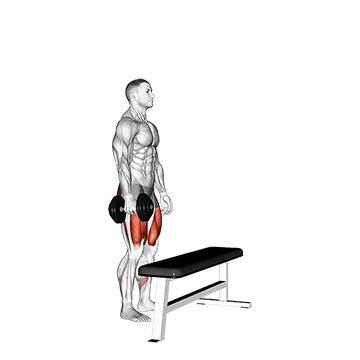 Best Dumbbell Glute Workouts Dumbbell Single Leg Step Up On Bench