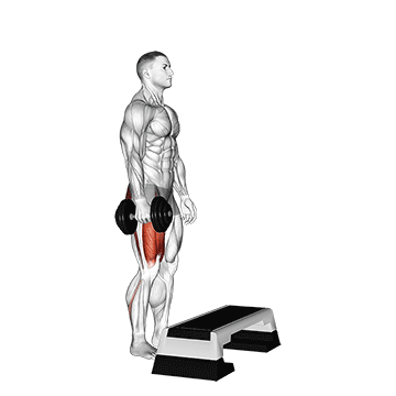 Best Dumbbell Leg Workouts Dumbbell Single Leg Step Up