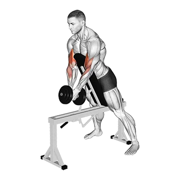 Dumbbell Single Spider Curl With Chest Support