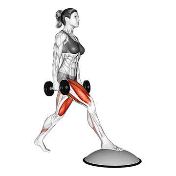 Dumbbell Split Squat Front Foot Elevanted With Bosu Ball