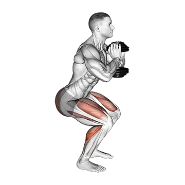 Dumbbell Squat Hold Calf Raise