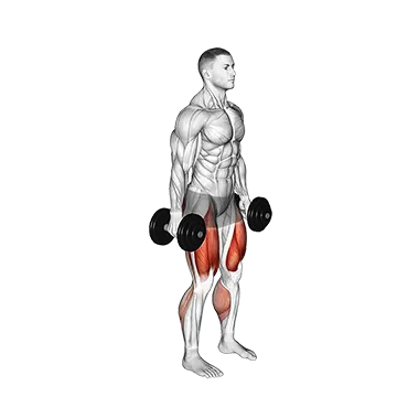 Dumbbell Squat Lunges Jump Complex