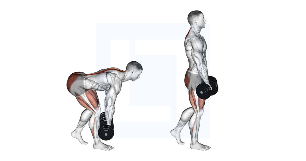 Can You Do Romanian Deadlift With Dumbbells At Stephanie Kingston Blog Can You Do Romanian Deadlift With Dumbbells At Stephanie Kingston Blog