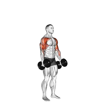 Dumbbell Standing Alternate Hammer Curl and Press