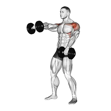 Dumbbell Standing Alternate Raise