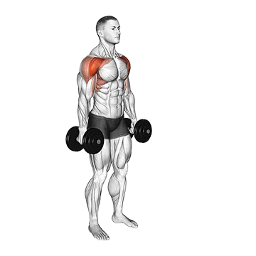 Best Front Delt Exercises Dumbbell Standing Alternate Vertical Front Raises