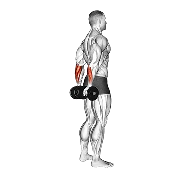 Dumbbell Standing Back Wrist Curl