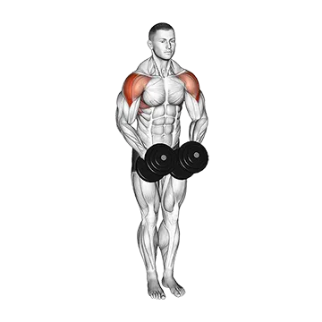 Best Side Delt Exercises Dumbbell Standing Bent Arm Lateral Raise