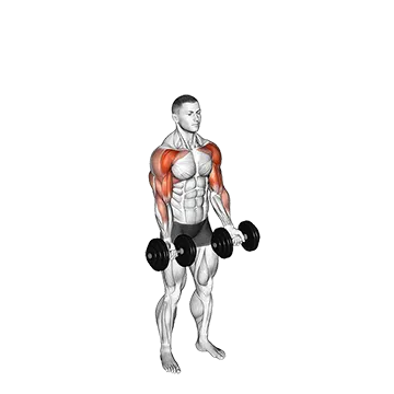 Best Dumbbell Bicep Workouts Dumbbell Standing Biceps Curl To Shoulder Press