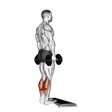 How To Grow Your Calves Dumbbell Standing Calf Raise