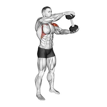 Best Dumbbell Core Workouts Dumbbell Standing Driver