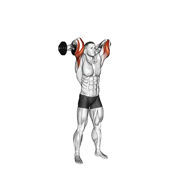 Best Dumbbell Tricep Workouts Dumbbell Standing French Press