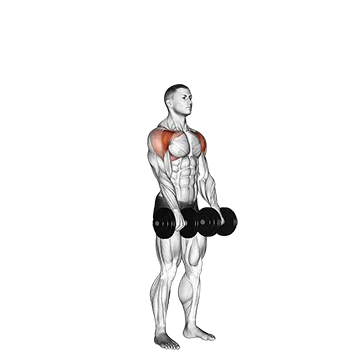 Best Front Delt Exercises Dumbbell Standing Front Raise Above Head