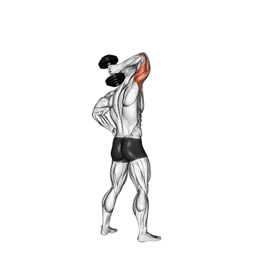 Dumbbell Standing One Arm Extension