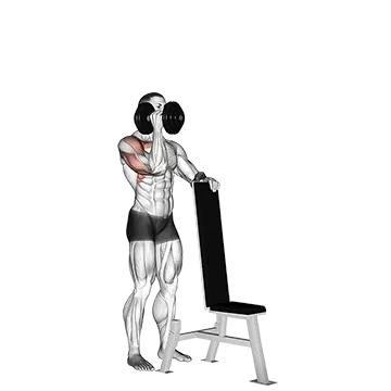 Dumbbell Standing One Arm Palm in Press