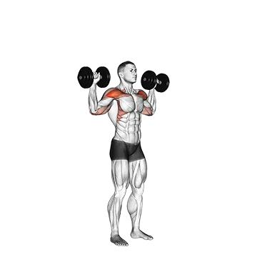 Best 5 Day Push Pull Legs Split Dumbbell Standing Overhead Press