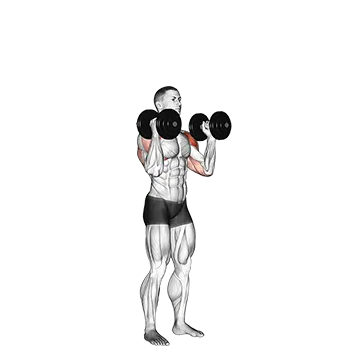 Dumbbell Standing Palms in Press