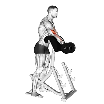 Dumbbell Standing Preacher Curl