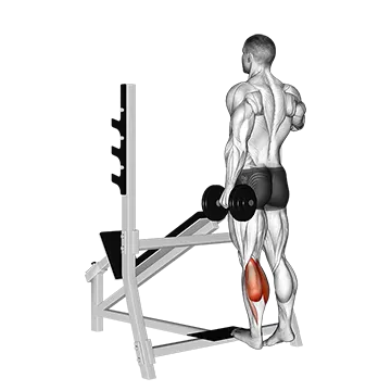 How To Grow Your Calves Single Leg Calf Raise