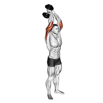 Best Medial Head Tricep Exercises Dumbbell Standing Triceps Extension