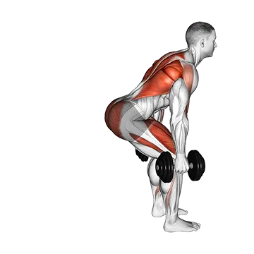 Best Dumbbell Back Workouts Dumbbell Step Back Lunge And Row