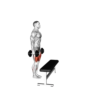 Dumbbell Step Up With Knee Raise