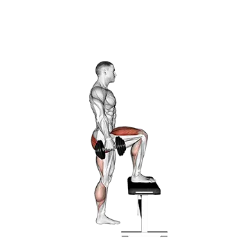 Best Quad And Glute Workouts Dumbbell Step Up