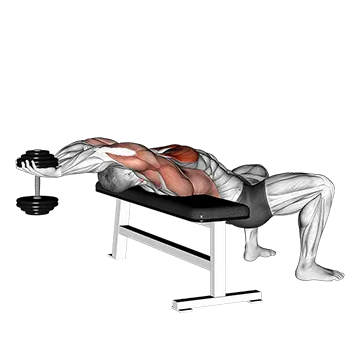 Best Dumbbell Lat Workouts Dumbbell Straight Arm Pullover