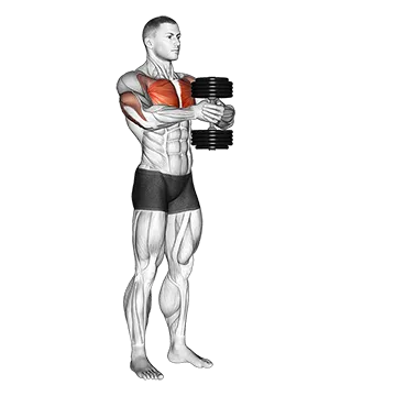 Best Dumbbell Chest Workouts Without Bench Dumbbell Svend Press
