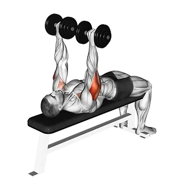 Best Dumbbell Tricep Workouts Dumbbell Tate Press