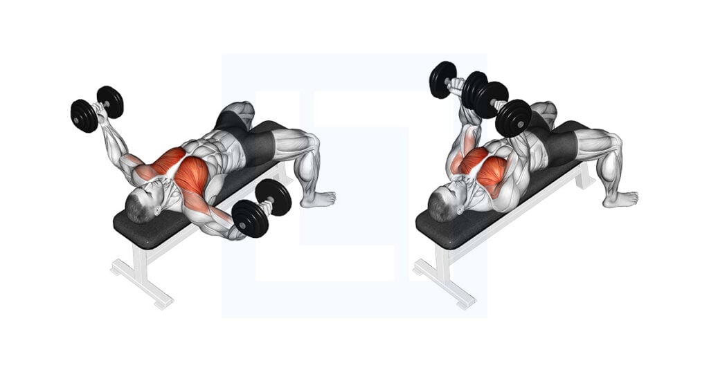 Dumbbell Incline Bench Press Guide Benefits And Form Dumbbell Incline Bench Press Guide Benefits And Form