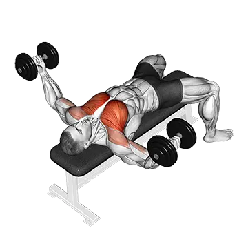 Best Dumbbell Chest Workouts Dumbbell Twisted Fly