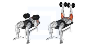 Dumbbell Twisting Bench Press - Guide, Benefits, and Form