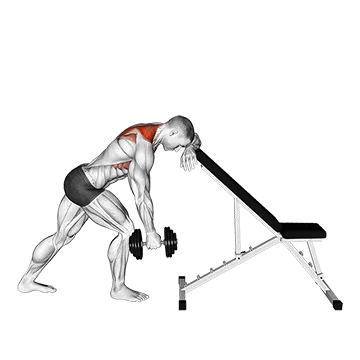 Dumbbell Unilateral Scapula Raise
