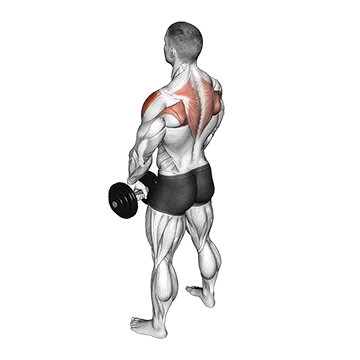 Best Dumbbell Shoulder Workouts Dumbbell Upright Row