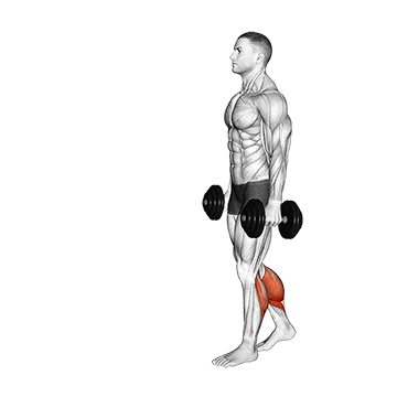 Best Calf Workouts Dumbbell Walking Calf Raise