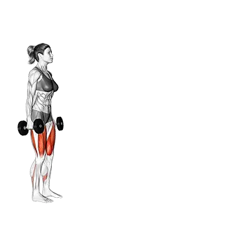 Best Quad And Glute Workouts Dumbbell Walking Lunge