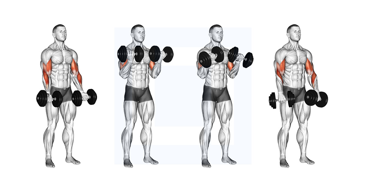 Cable High Pulley Overhead Tricep Extension Guide Benefits And Form Cable High Pulley Overhead Tricep Extension Guide Benefits And Form